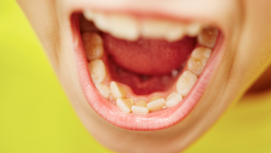 ortodont-Dentalharmony